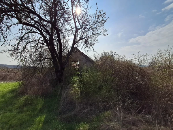 Eladó Telek Balatonszőlős 2900 m2 