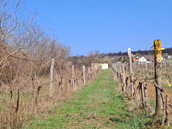 Eladó Telek Balatonszőlős 2900 m2 