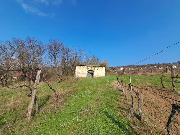 Eladó Telek Balatonszőlős 2900 m2 