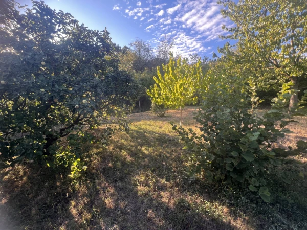 Eladó Telek Somoskőújfalu 930 m2 
