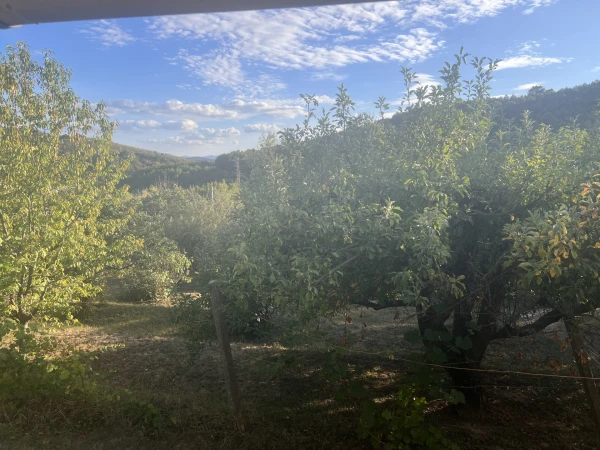 Eladó Telek Somoskőújfalu 930 m2 