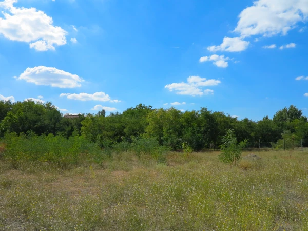 Eladó Telek Kecskemét 788 m2 