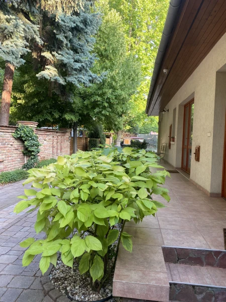Eladó Ház Siófok 200 m2 