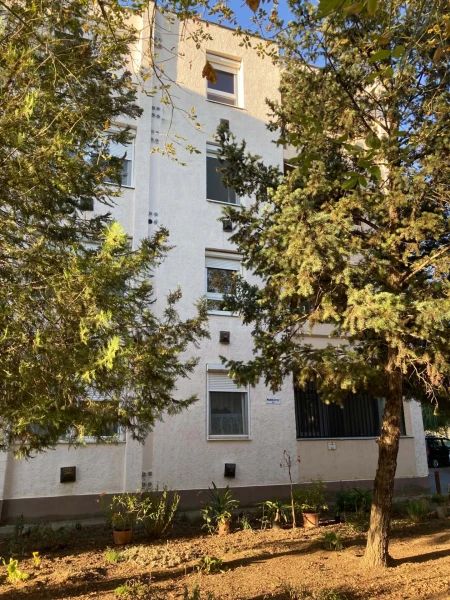 Eladó Lakás Martfű 55 m2 