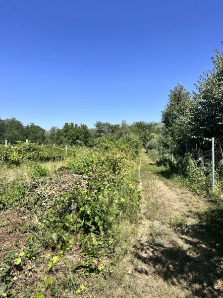 Eladó Nyaraló Kóka 25 m2 