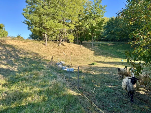 Eladó Ház Becsvölgye 80 m2 