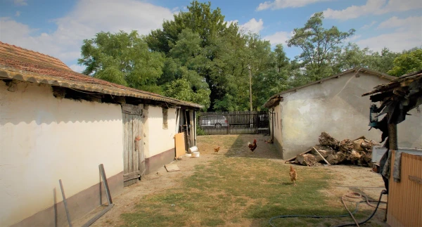 Eladó Ház Szank 120 m2 