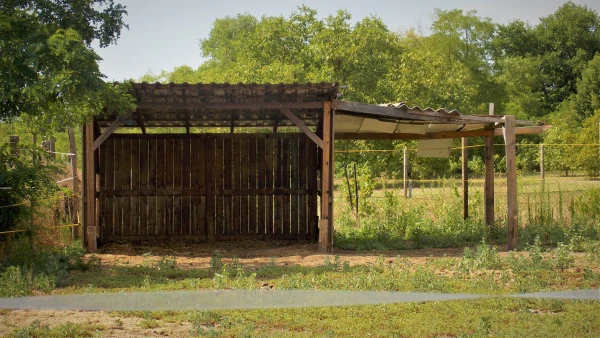 Eladó Ház Szank 120 m2 