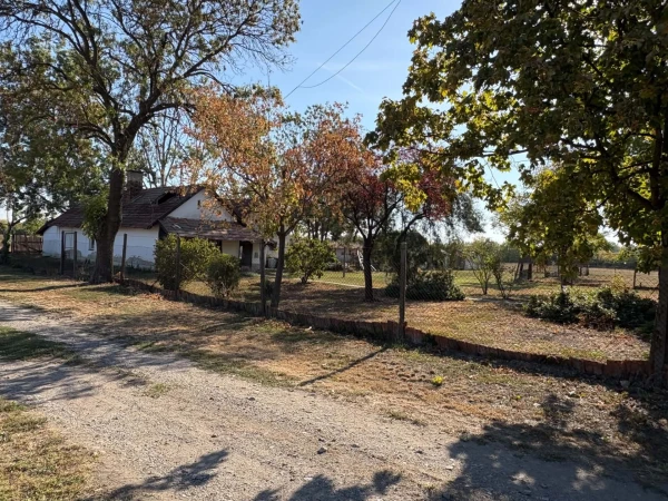 Eladó Ház Békéscsaba 131 m2 