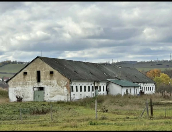 Eladó Telek Bátonyterenye 140000 m2 