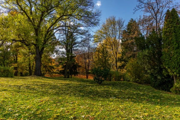 Eladó Ház Bánhorváti 1490 m2 
