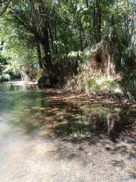 Eladó Ház Zalabaksa 113 m2 