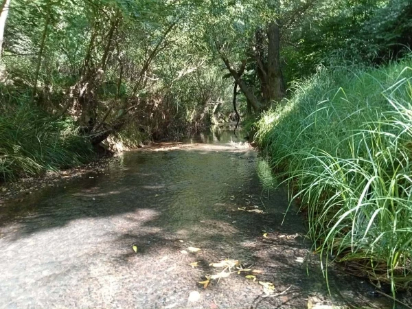 Eladó Ház Zalabaksa 113 m2 