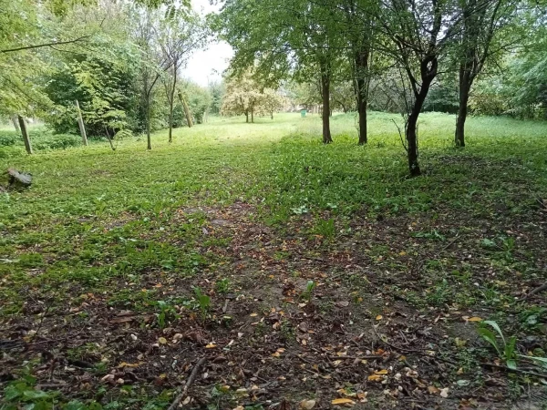 Eladó Ház Zalabaksa 113 m2 