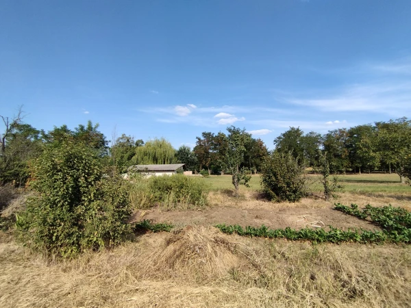 Eladó Telek Rákóczifalva 752 m2 