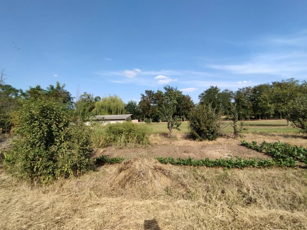 Eladó Telek Rákóczifalva 752 m2 