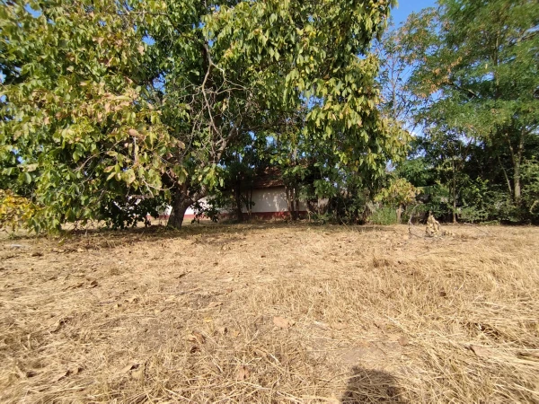 Eladó Telek Rákóczifalva 752 m2 