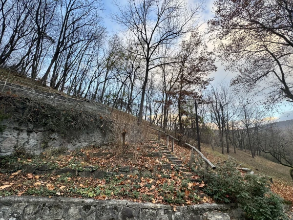 Eladó Ház Esztergom 718 m2 