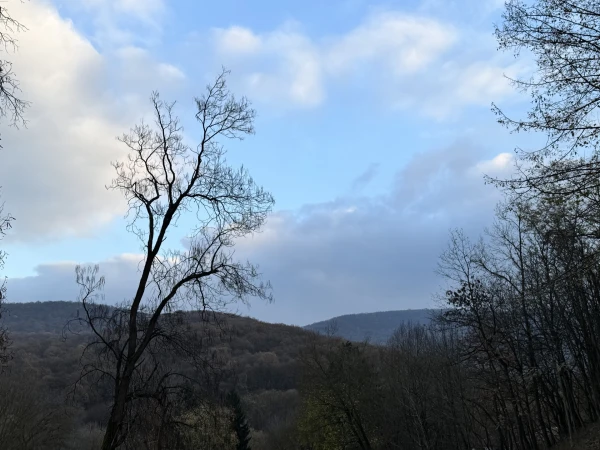 Eladó Ház Esztergom 718 m2 