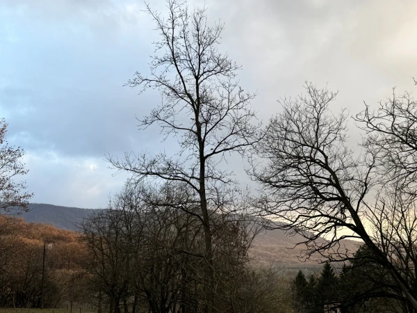 Eladó Ház Esztergom 718 m2 