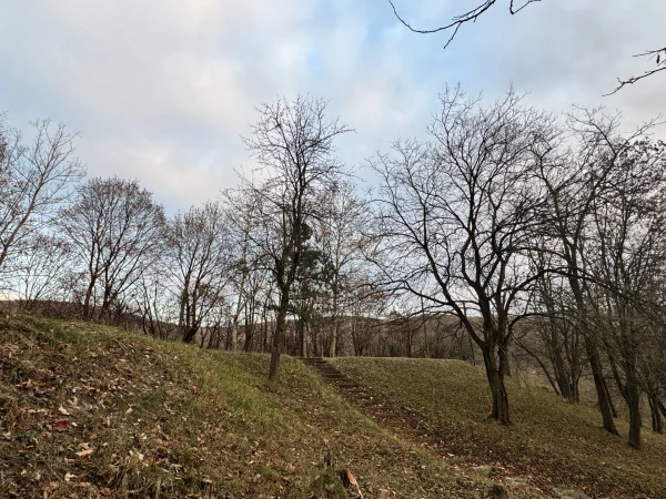 Eladó Ház Esztergom 718 m2 