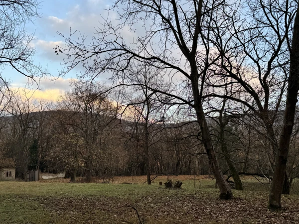 Eladó Ház Esztergom 718 m2 