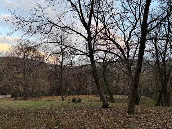 Eladó Ház Esztergom 718 m2 