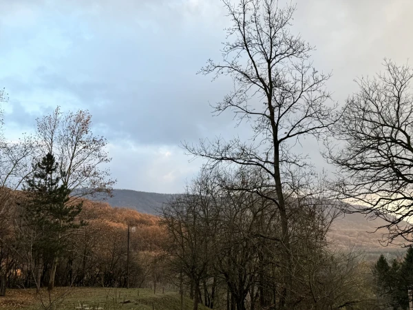 Eladó Ház Esztergom 718 m2 