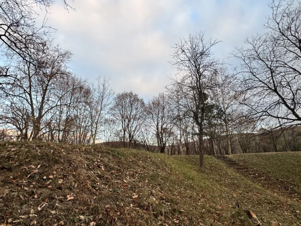 Eladó Ház Esztergom 718 m2 