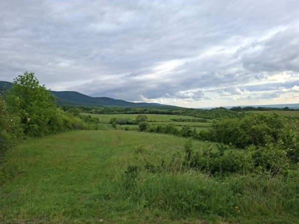 Eladó Telek Pásztó 1410 m2 