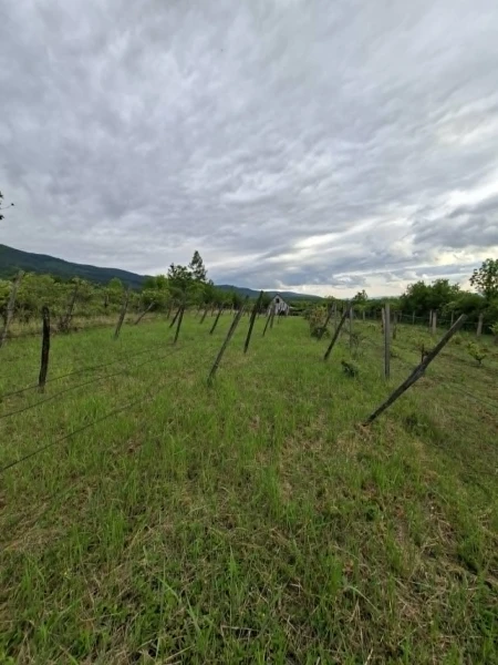 Eladó Telek Pásztó 1410 m2 