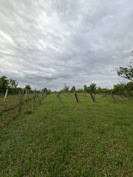 Eladó Telek Pásztó 1410 m2 