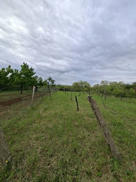 Eladó Telek Pásztó 1410 m2 
