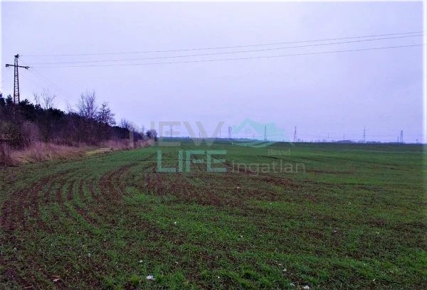 Eladó Telek Győr 6706 m2 