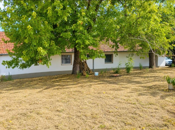 Eladó Telek Debrecen 8300 m2 