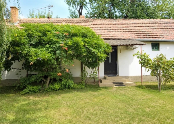 Eladó Telek Debrecen 8300 m2 