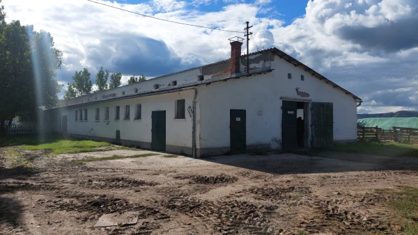 Eladó Telek Ipolytarnóc 73165 m2 