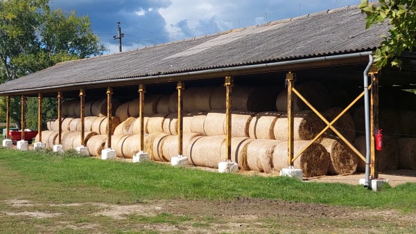 Eladó Telek Ipolytarnóc 73165 m2 