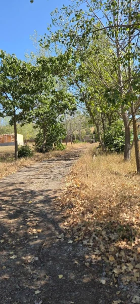 Eladó Ház Szanda 100 m2 