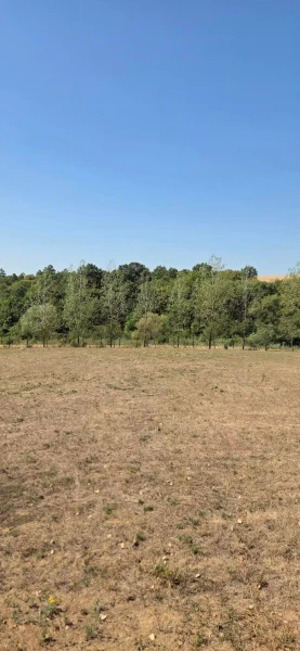 Eladó Ház Szanda 100 m2 
