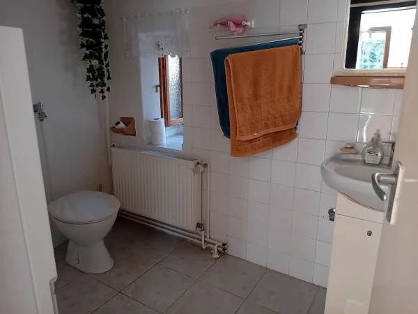 Eladó Ház Gyenesdiás 40 m2 