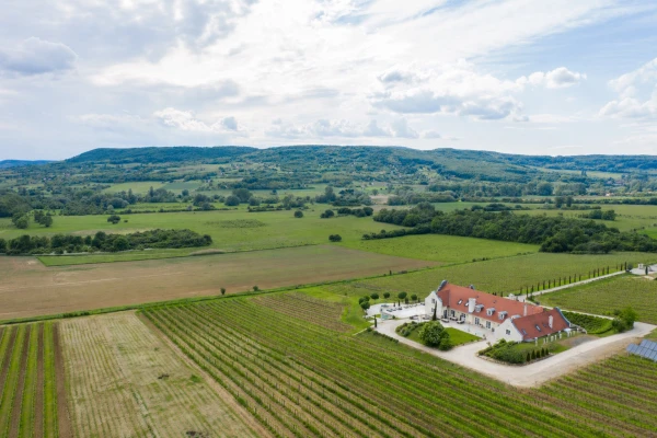 Eladó Ház Monoszló 2250 m2 