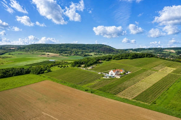 Eladó Ház Monoszló 2250 m2 