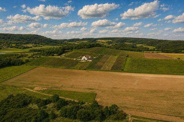 Eladó Ház Monoszló 2250 m2 