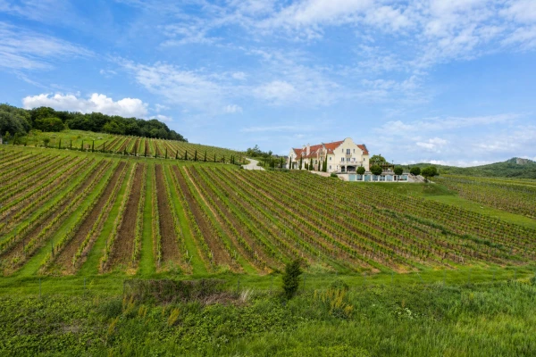 Eladó Ház Monoszló 2250 m2 