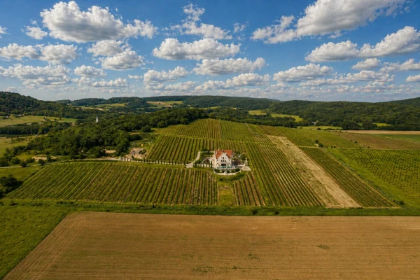 Eladó Ház Monoszló 2250 m2 