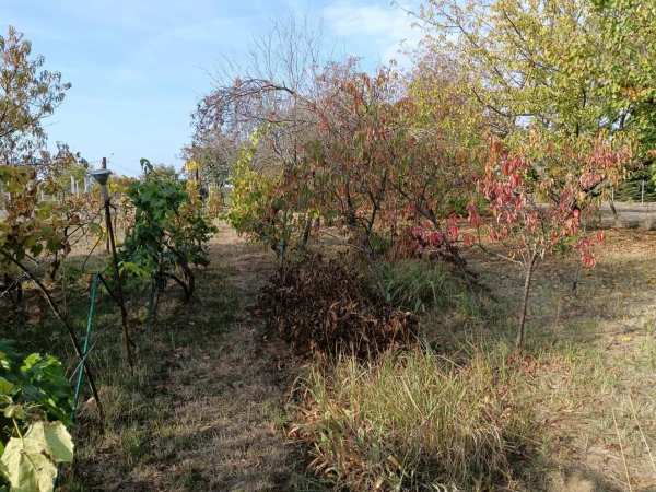 Eladó Ház Kaposvár 168 m2 