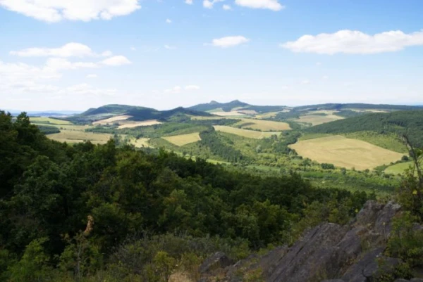 Eladó Telek Bér 3341 m2 