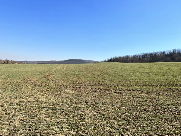 Eladó Telek Kistótfalu 400000 m2 