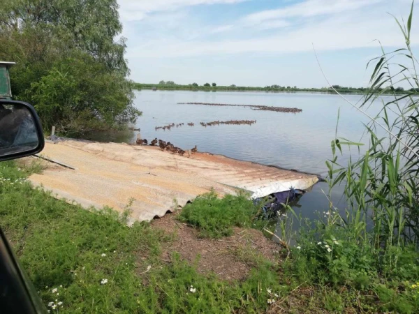 Eladó Telek Tiszasüly 645000 m2 